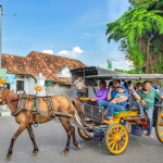 Mengunjungi Bali