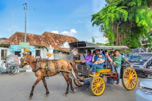Mengunjungi Bali